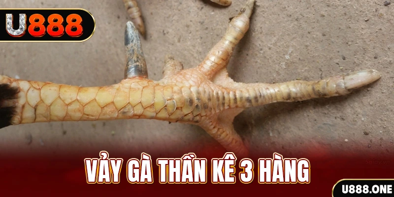 wstar77 nổ hũ đổi thưởng . ai