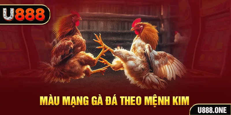 wstar77 gà chọi tiêu phong