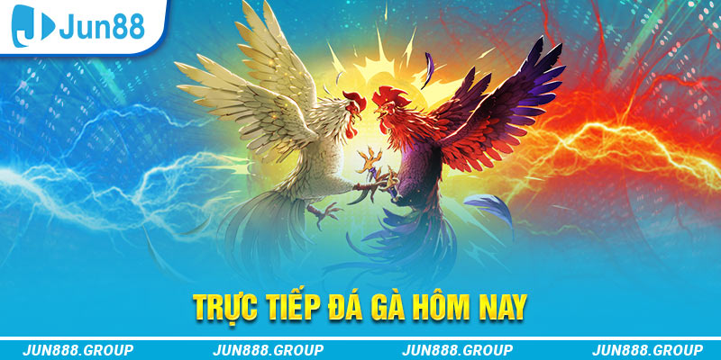 wstar77 68 game bài máy chủ ở đâu