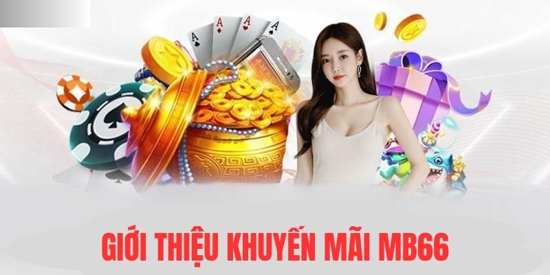 wstar77 đá gà cựa dao