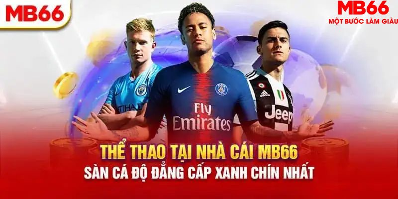 wstar77 HB Điện Tử