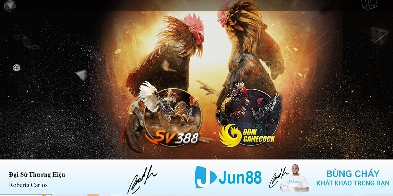 wstar77 xổ số miền nam hàng tuần