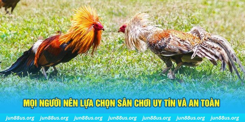 wstar77 khi nào thì nổ hũ tài xỉu