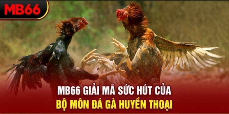 wstar77 long bảo trong baccarat là gì