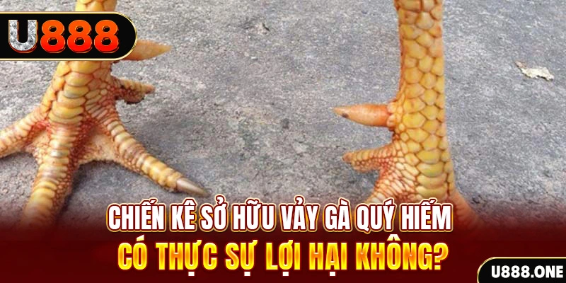 wstar77 game cá cược máy bay