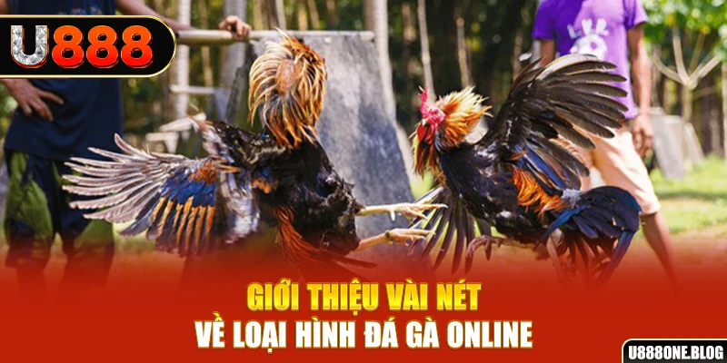 wstar77 xổ số miền nam thứ ba