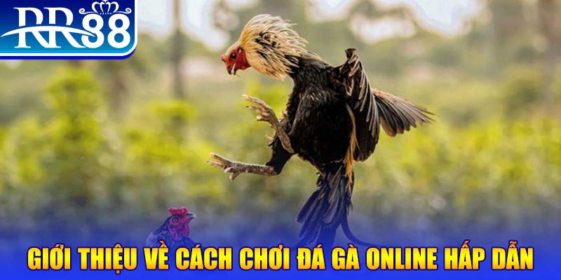 wstar77 nổ hũ 2 mặt là gì