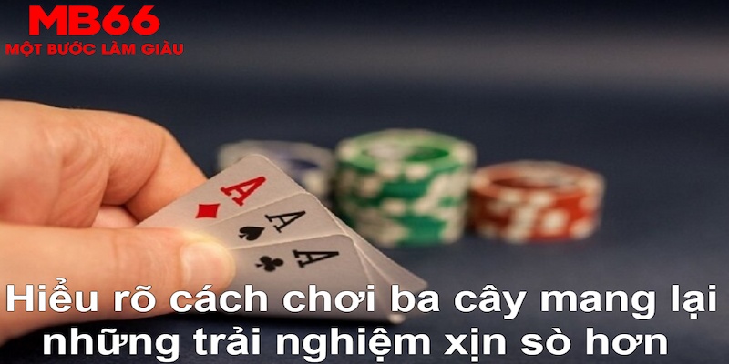 wstar77 xổ số quảng trị