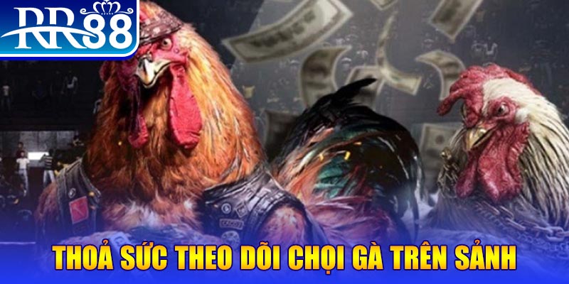 wstar77 NE Điện Tử