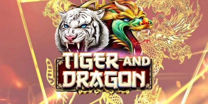 wstar77 cá cược tiếng anh là gì