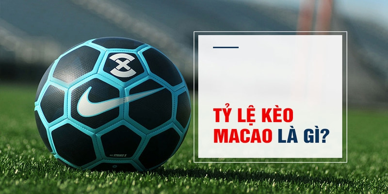 wstar77 Trăm Knorr