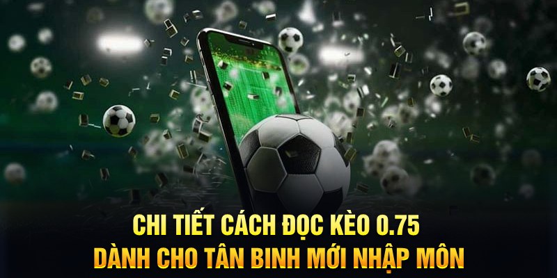 wstar77 sổ xô miên nam hôm nay