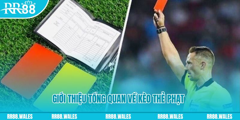 wstar77 đá gà trực tiếp c1