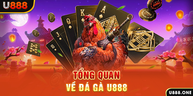 wstar77 chạy quảng cáo cho game bài bị phạt như thế nào